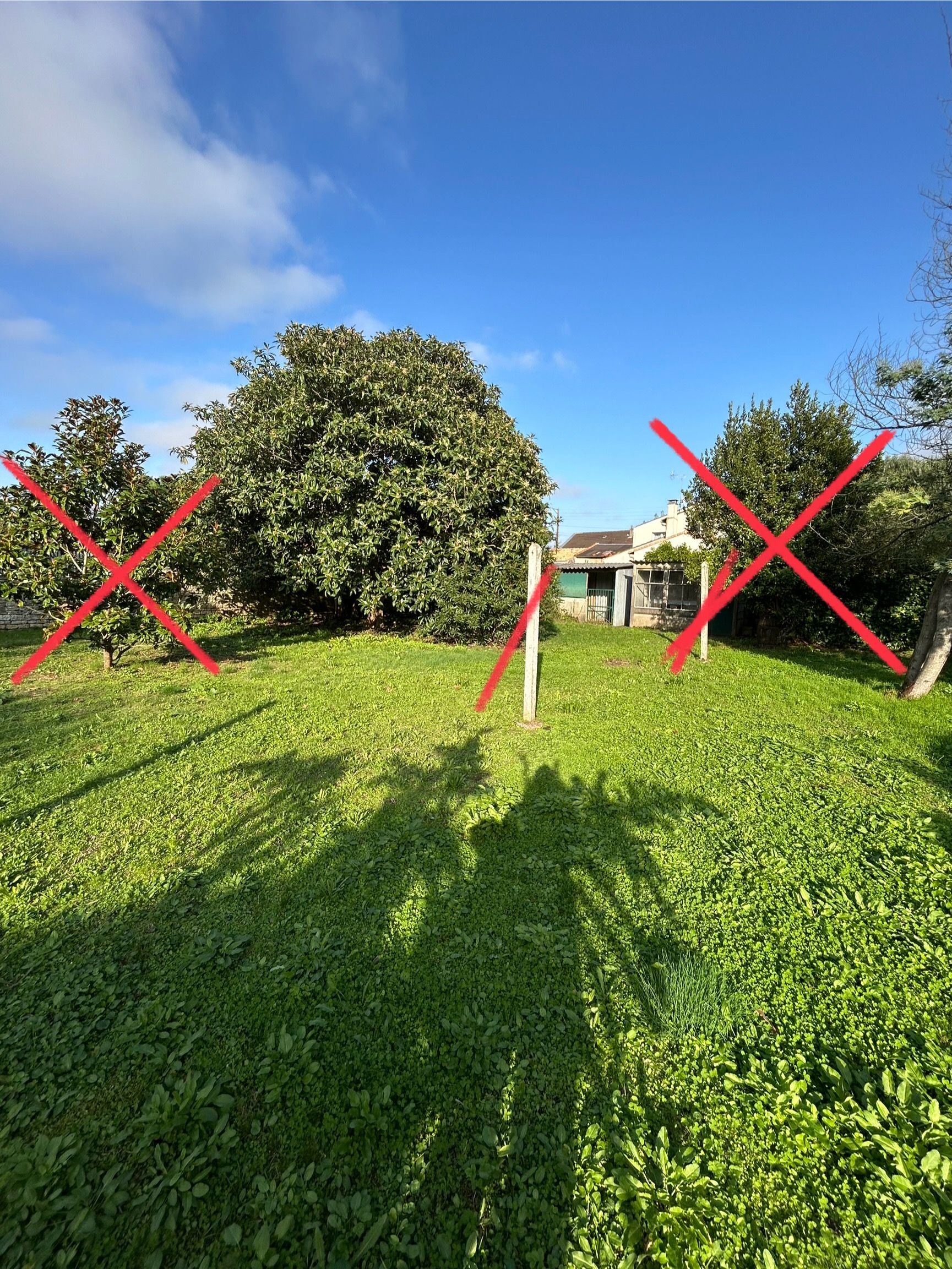 Photo avant extérieur jardin