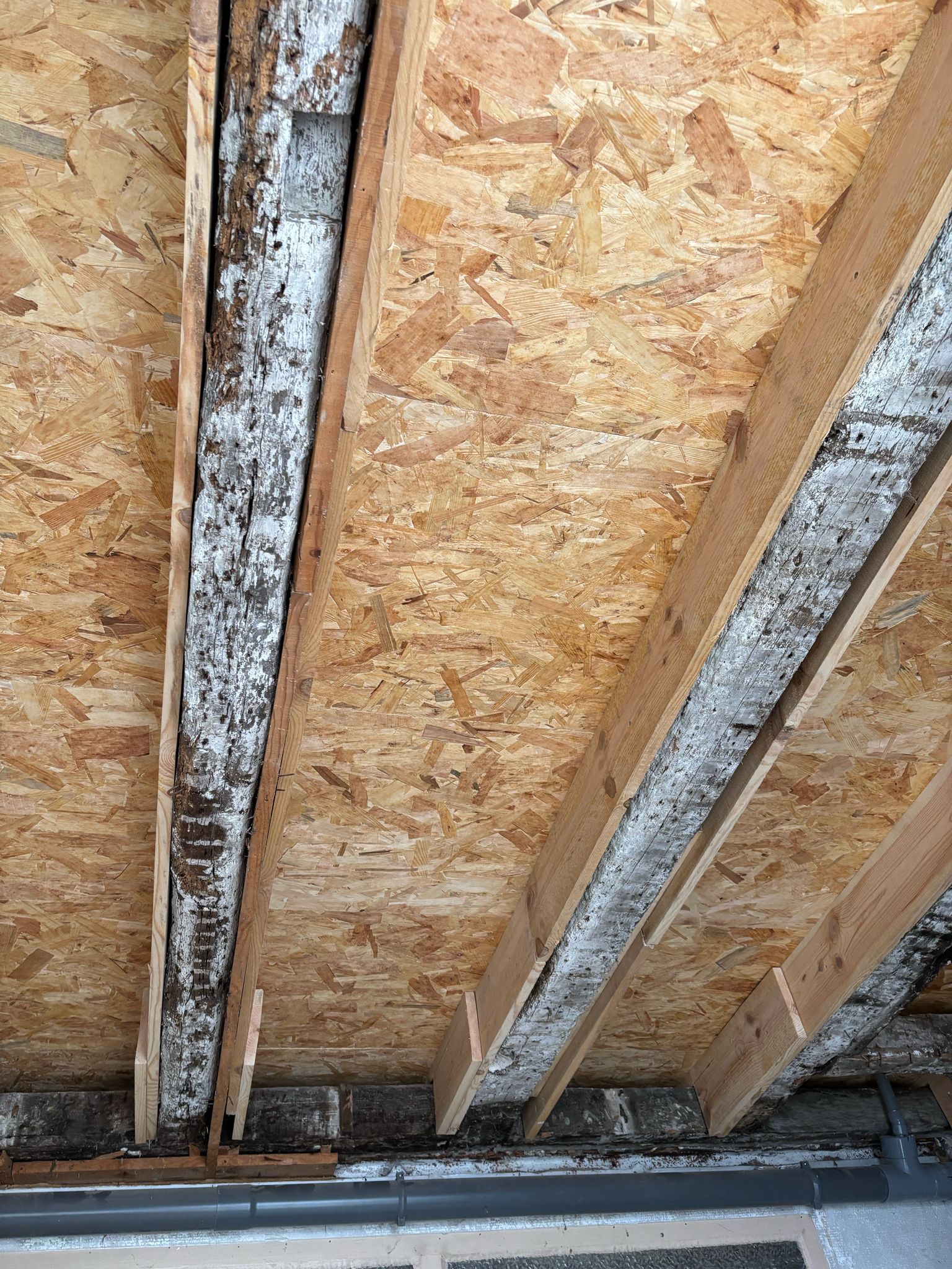 Photo travaux plancher